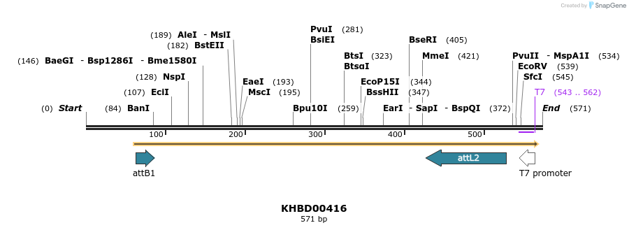 42737_map