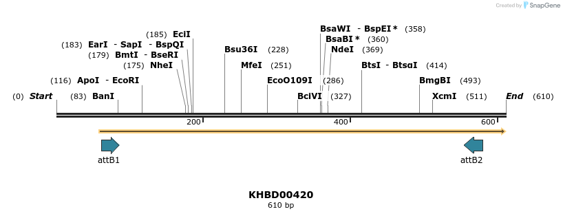 42738_map