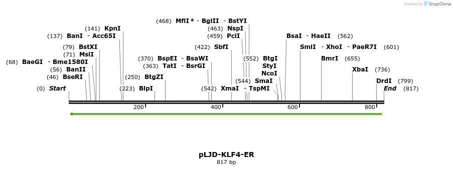 42739_map