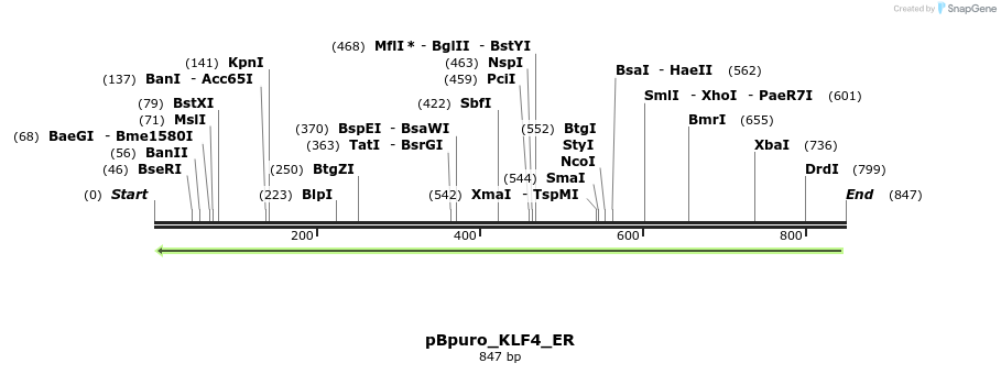 42740_map