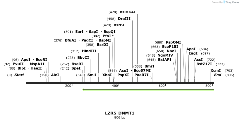42743_map