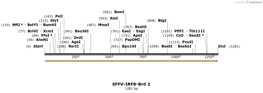 427438_map