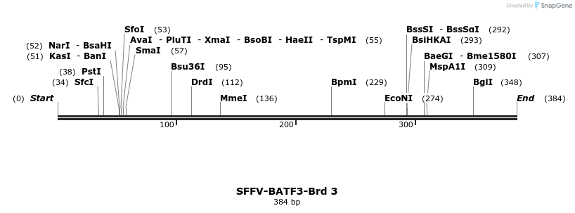 427441_map
