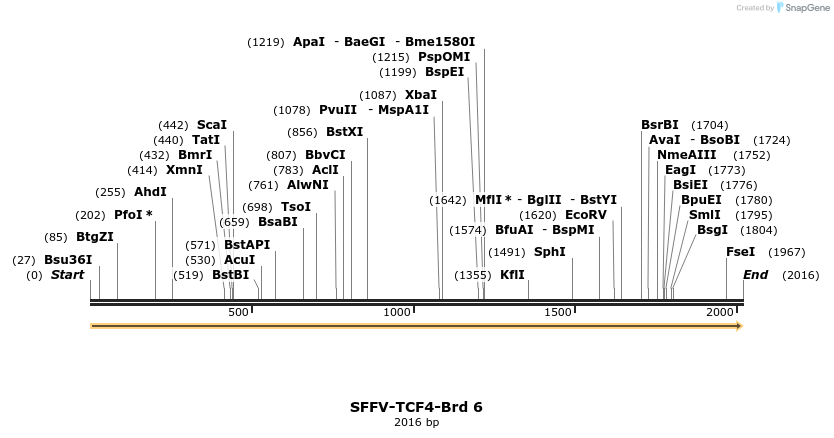 427450_map