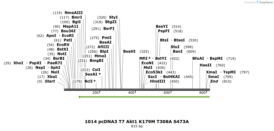 42746_map
