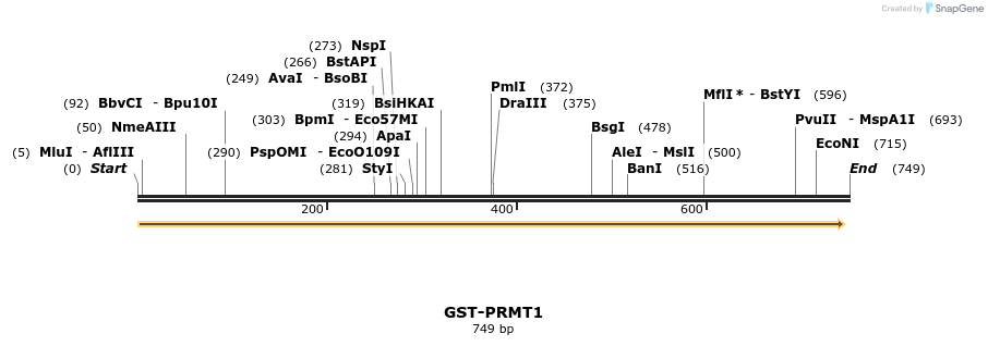 42747_map