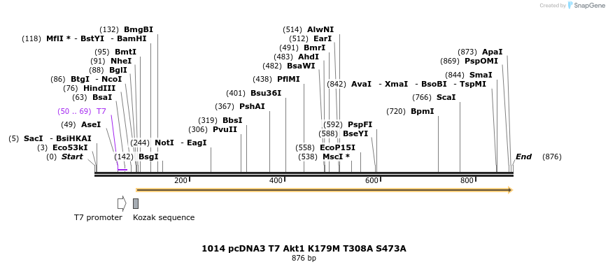 42748_map