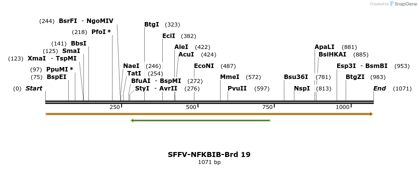 427486_map
