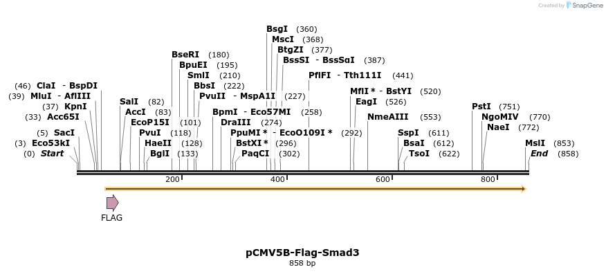 42749_map