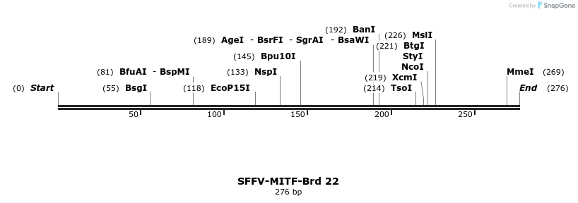 427495_map