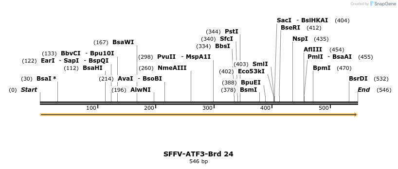 427501_map