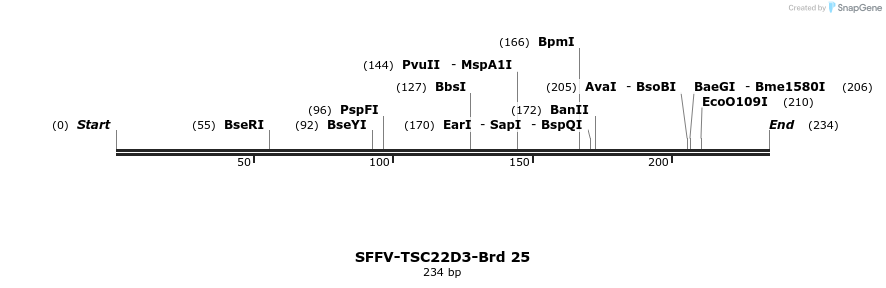 427504_map