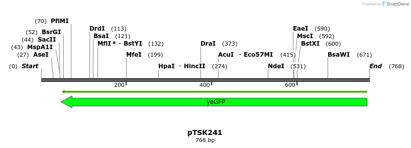 42751_map
