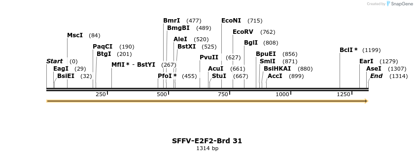 427519_map