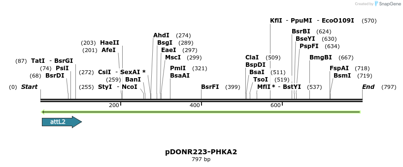 42753_map
