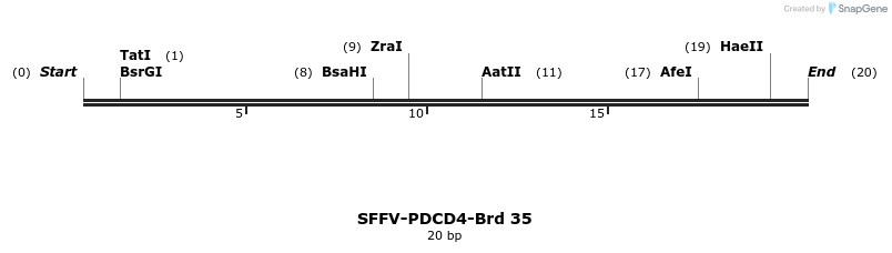 427532_map