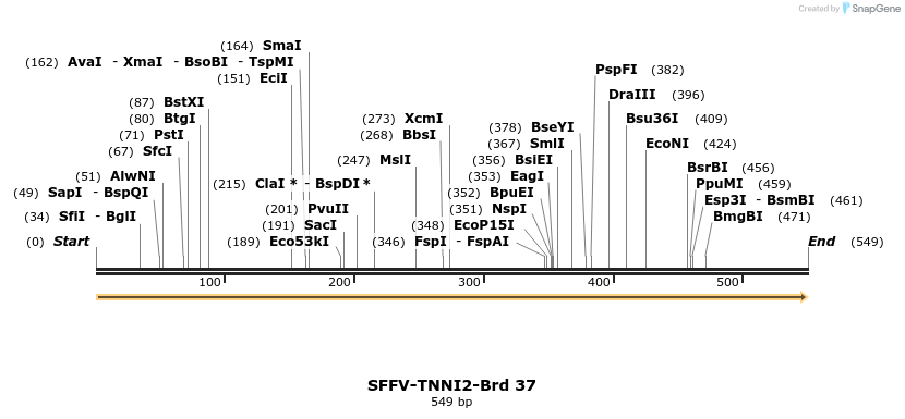 427537_map