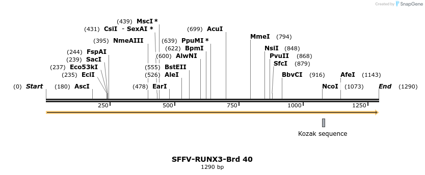 427543_map