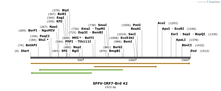 427549_map