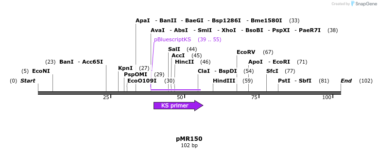 42755_map