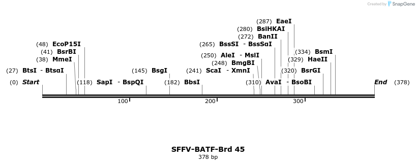 427558_map