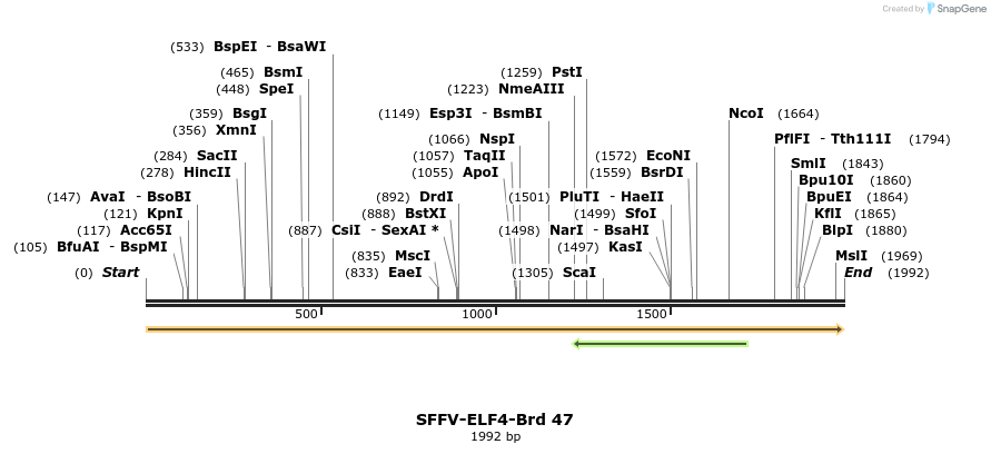 427564_map