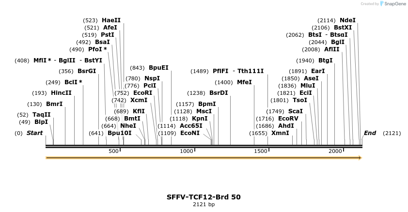 427570_map