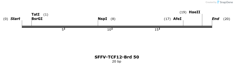 427571_map