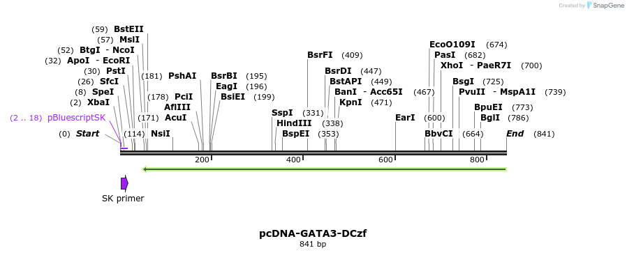 42758_map