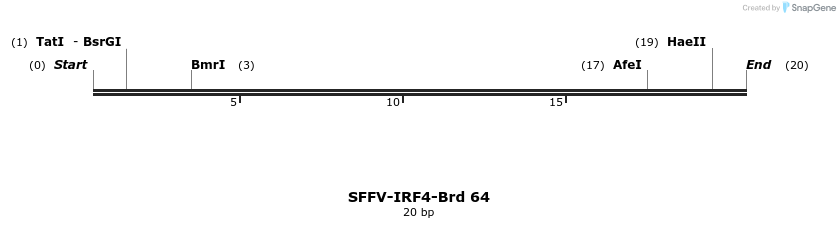 427607_map