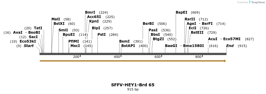 427609_map