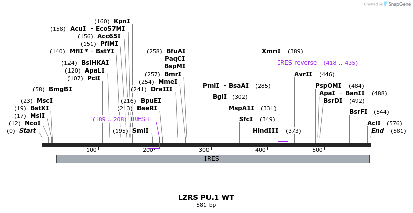 42761_map