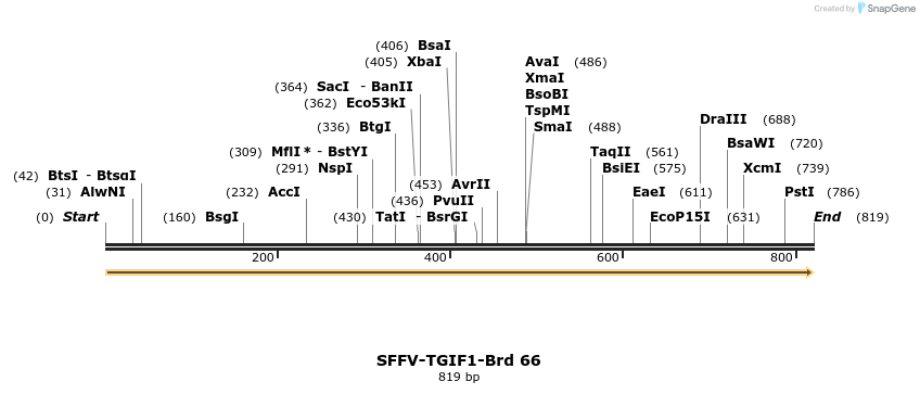 427612_map