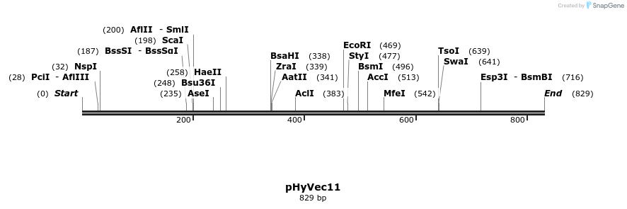 42762_map