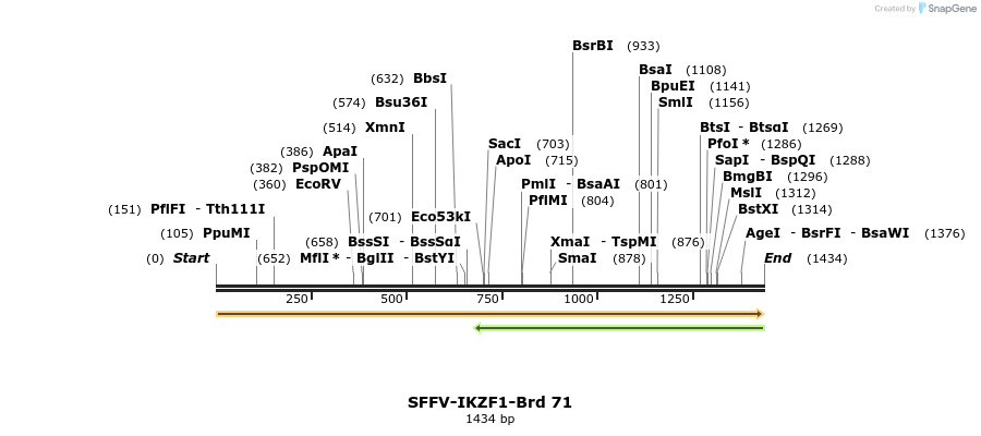 427627_map