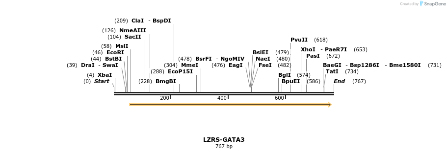 42763_map