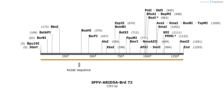 427630_map