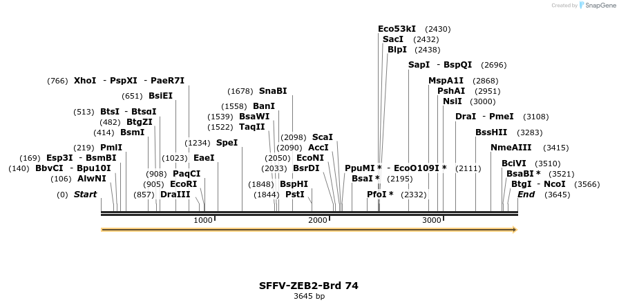 427636_map
