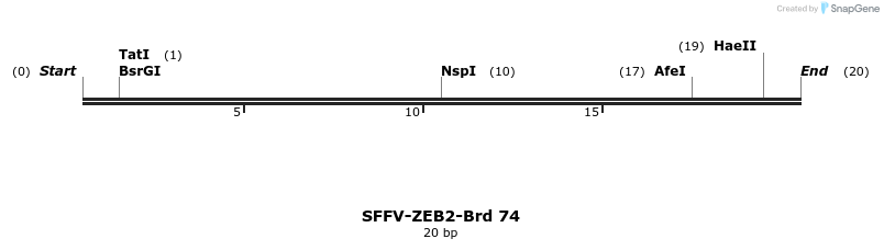 427637_map