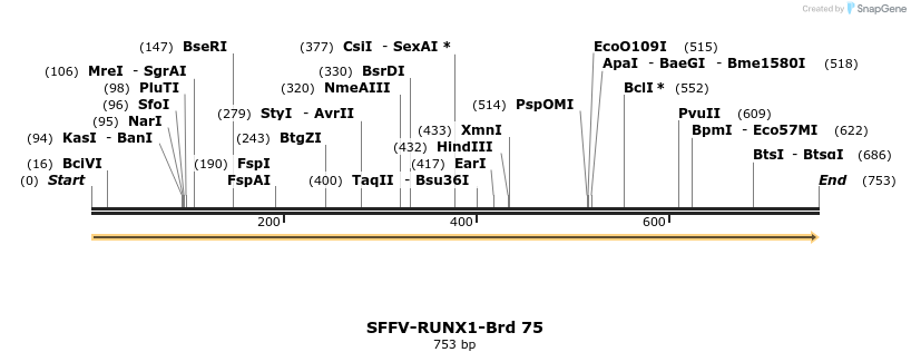 427639_map