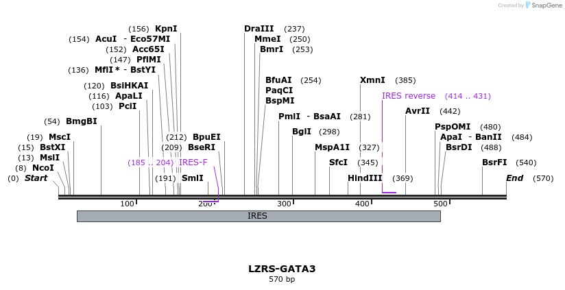 42764_map