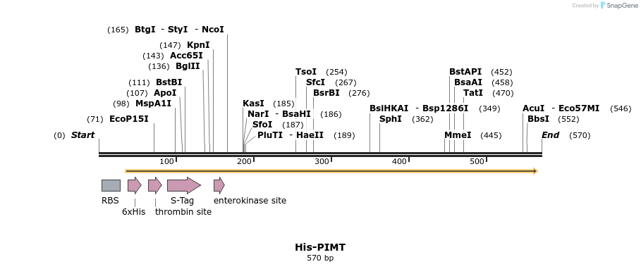 42765_map