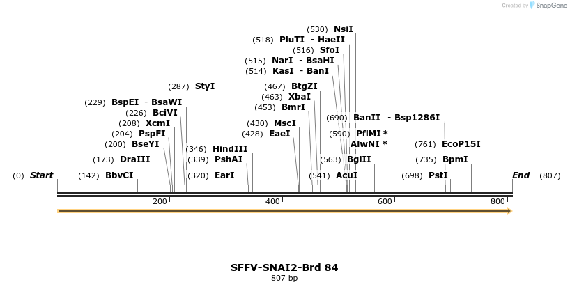 427657_map