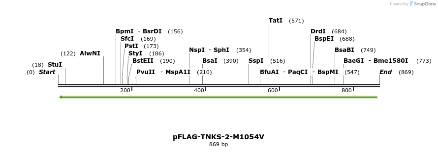 42766_map
