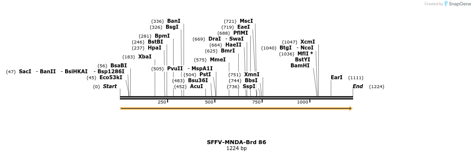 427663_map