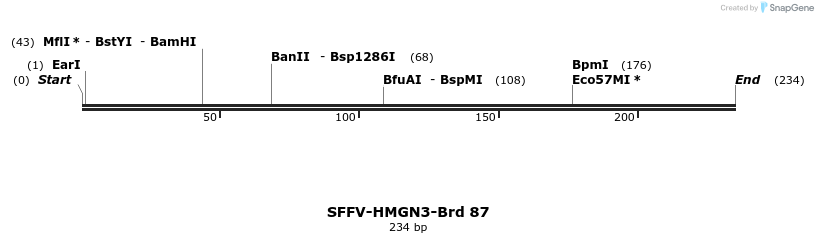 427666_map