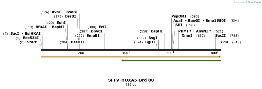 427669_map
