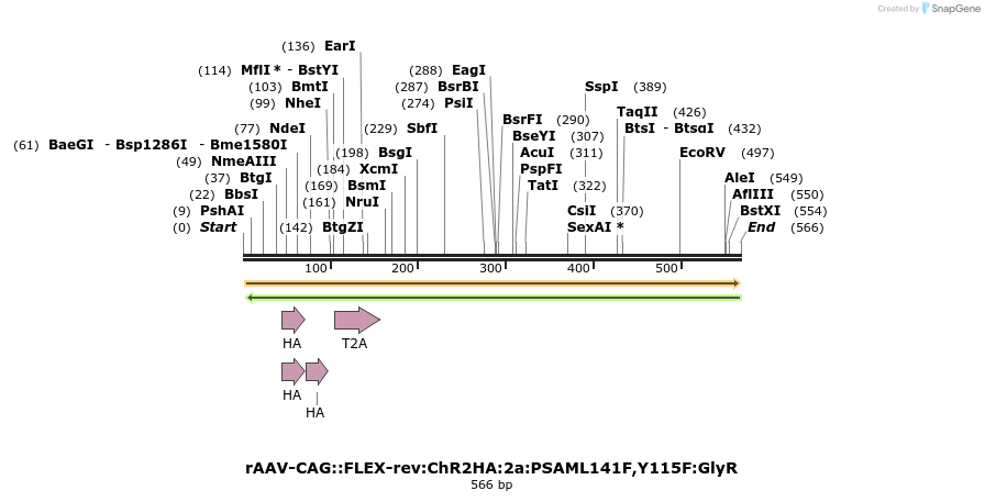 42768_map