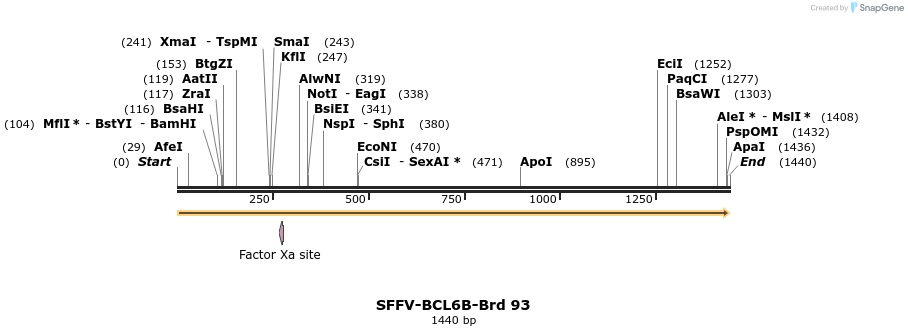 427681_map