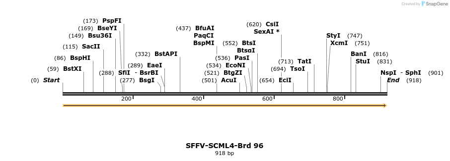 427687_map